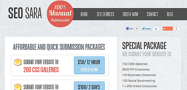 SEO SARA – website screenshot