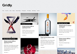 Premium WordPress Responsive Themes Free