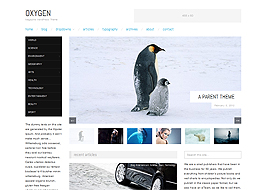 Responsive Magazine WordPress Theme Free