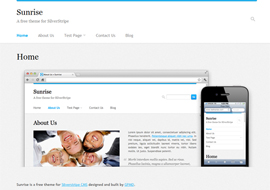 Free Responsive Theme