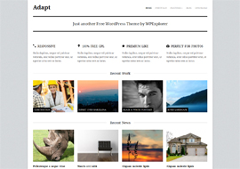 Adapt – Free Responsive Business Portfolio WordPress Theme