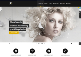 Forte Multipurpose WP Responsive theme (eCommerce ready)