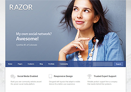 Razor – Responsive WordPress Theme