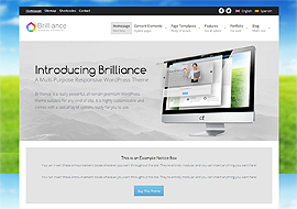 Brilliance – Responsive Multi-Purpose Theme