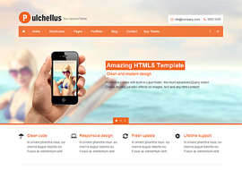 Pulchellus – Responsive HTML5 Template