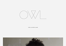OWL Optics