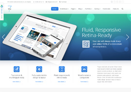 The7- Responsive Multi-Purpose WordPress Theme