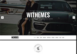 Norris – Elegant Onepage WordPress Theme