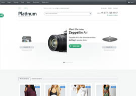 Platinum – Multipurpose Responsive WordPress Theme