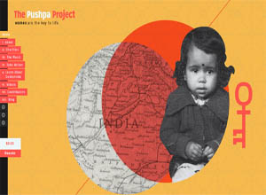 The Pushpa Project