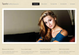 Tapestry – Free HTML5 Responsive Template