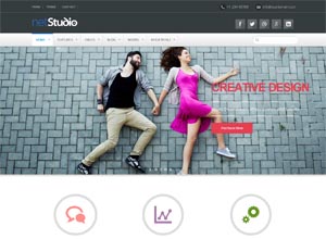 Netstudio – Premium Multipurpose Responsive Theme