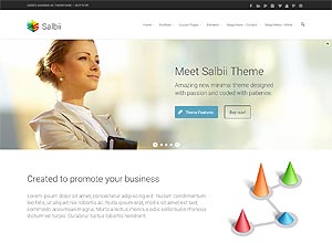 Salbii – Responsive Multi-Purpose WordPress Theme