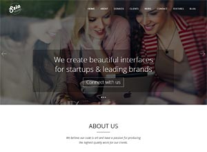 Szia – Responsive WordPress One Page Portfolio