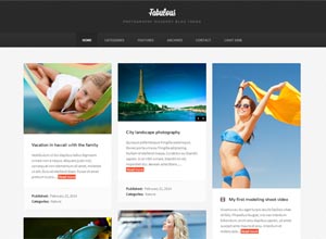 Fabulous – Responsive Masonry Blog WordPress Theme