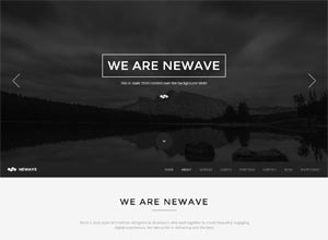 Newave – WordPress Responsive One Page Parallax
