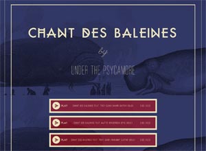 Chant Des Baleines