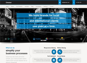 Chester-Multi-Purpose And Software,WordPress Theme