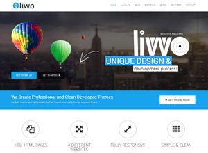 Liwo – MultiPurpose WordPress Theme