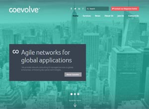 Coevolve Agile Networks for Global Applications