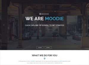 Moodie Multi-Purpose WordPress Theme