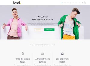Brazil – Ultimate WordPress Theme
