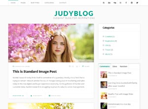 JudyBlog – Elegant Blog WordPress Theme