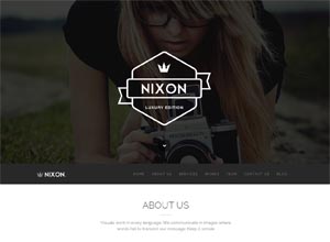 Nixon – Creative One Page Multi-Purpose Theme