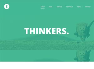 Birva – Creative One Page WordPress Theme