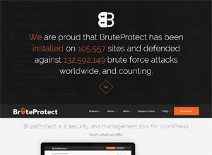 BruteProtect