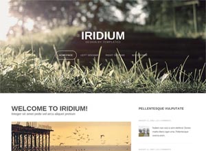 Iridium- Free Responsive HTML5 Template