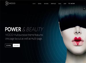 MODO Multi-Purpose Responsive Theme