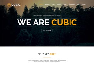 Cubic – One Page Responsive WordPress Theme
