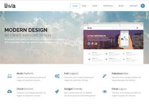 Liwa MultiPurpose WordPress Theme