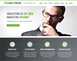 Conception de site web professionnel