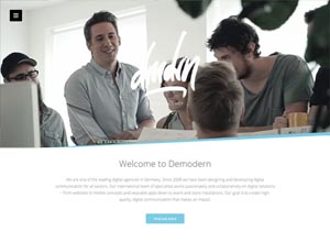 Demodern Digital Agency